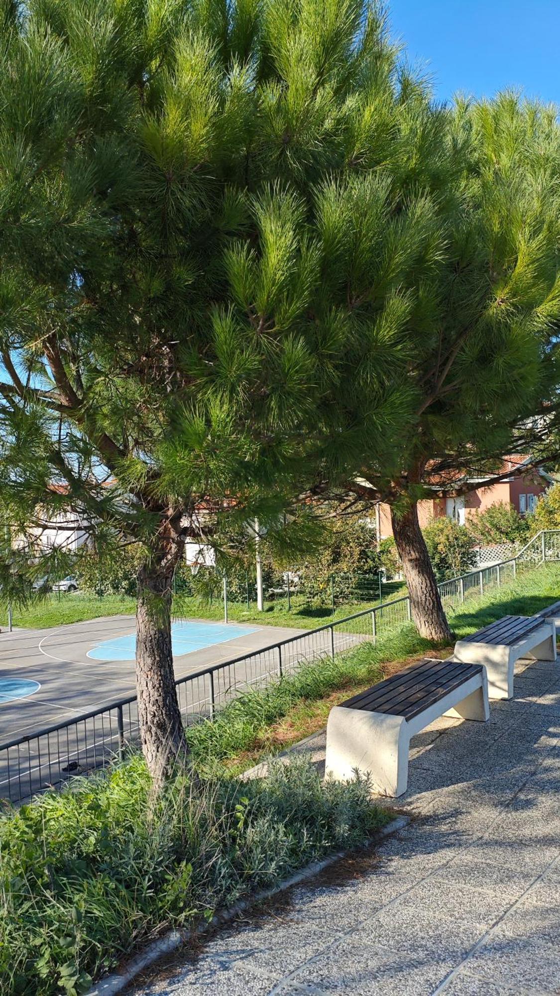 Apartments Tomisic كوبر المظهر الخارجي الصورة